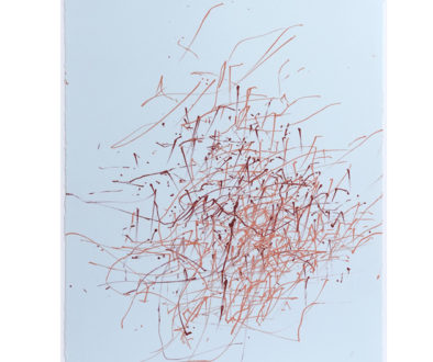 inigo_manglano-ovalle_storm_prototype_2007_courtesy_the_artist_and_rhona_hoffman_gallery_chicago